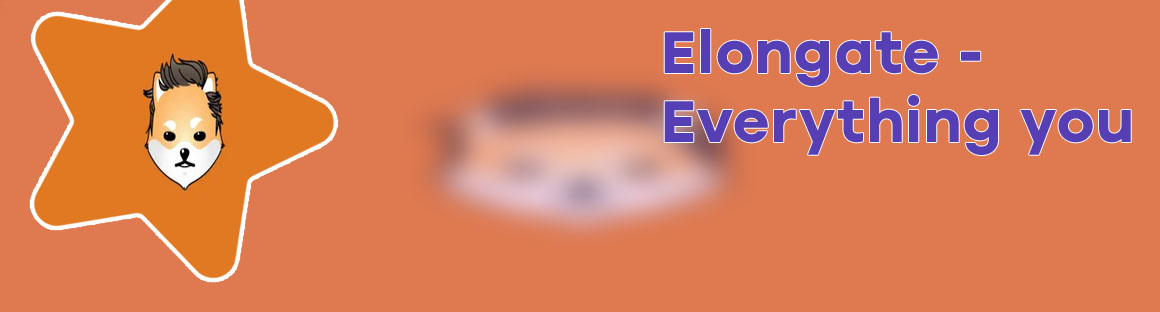 Elon gate crypto coin